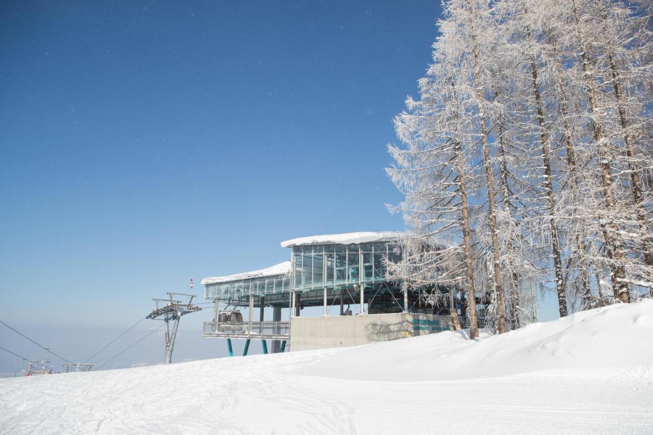 Chaletpark Petzen Hotel Feistritz ob Bleiburg Exterior photo